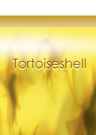 Tortoiseshell ~べっ甲~