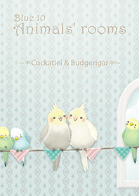 Animals' rooms[Cockatiel&budgie/Blue10v2