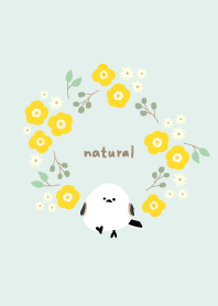 Long-tailed tit carrying flowers18 Japan