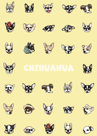 chihuahua2 - lemonade