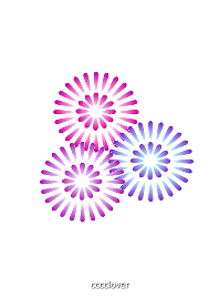 3colors Fireworks