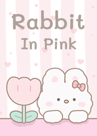 Rabbit So Cute In Pink!