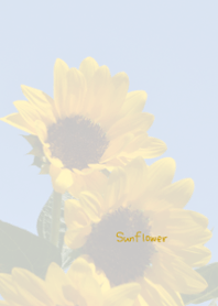 向日葵のきせかえ1