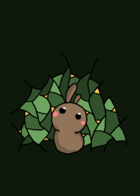 rabbit staring - collage