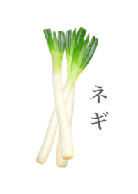 おいしい ネギ 5