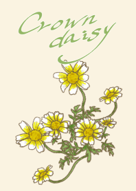 Crown daisy