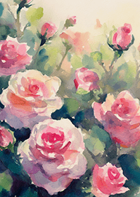 Beautiful rose flower(R4896)