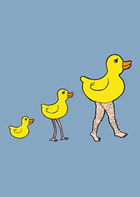 evolution duck-sky blue