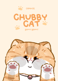 Chubby Cat : Orange