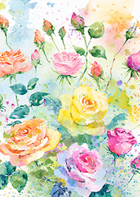 Beautiful rose flower(R4501)