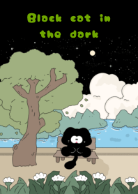 Black cat in the dark