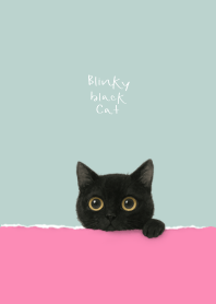 Blinky Black Cat (Bright Pink and Green)