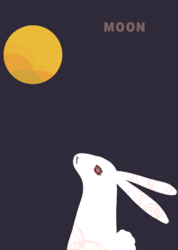 Rabbit moon night