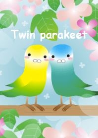 Twin parakeet