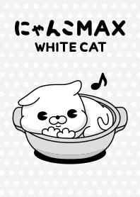 にゃんこMAX(白猫)