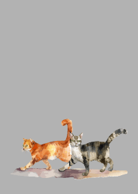 two cats on white