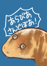 Sand boa !
