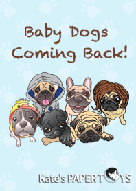 Baby Dogs Coming Back!
