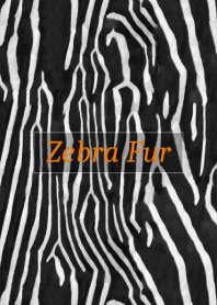 Zebra Fur 16
