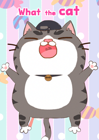 What the Cat !!!