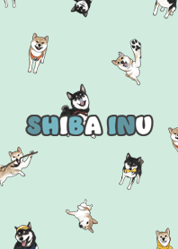 shibainu3 - mint cream