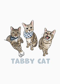 tabbycat2 / white