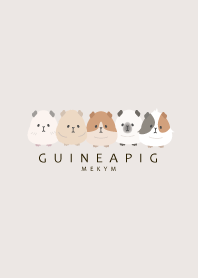 GUINEA PIG-PINK BEIGE 28