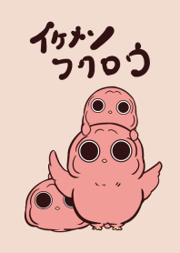 イケメンフクロウ 