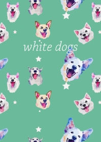 white dogs on blue green