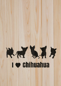 I Love Chihuahua❤︎ 4