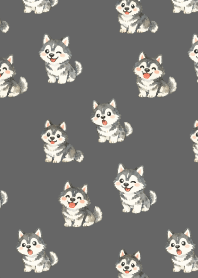 Smiling Siberian Husky2 on black