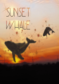 Sunset Whale