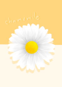 chamomile (yellow)