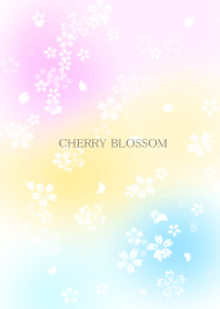Cherry blossom*Sakura