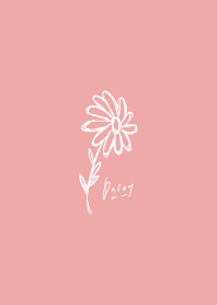雛菊_粉色