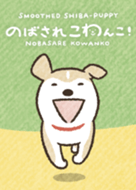 Shiba-Puppy! 柴犬小狗狗主題 jp