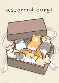 assorted corgi