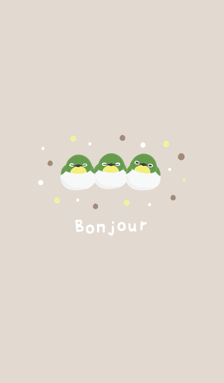 Sleepy Japanese White-eye 2
