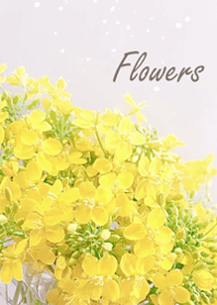 Gentle and refreshing blossoms6.