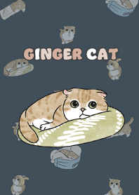 gingercat11 - indigo