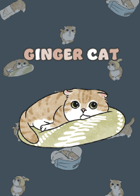 gingercat11 / indigo