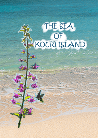 Beautiful sea of Kouri Island2