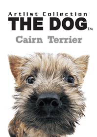 THE DOG ケアーン • テリア