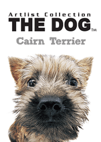 THE DOG Cairn Terrier