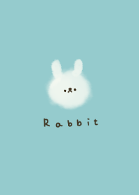 Sky blue and rabbit.