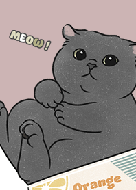 neko single21 / rose pink