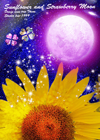 Sunflower and Strawberry Moon