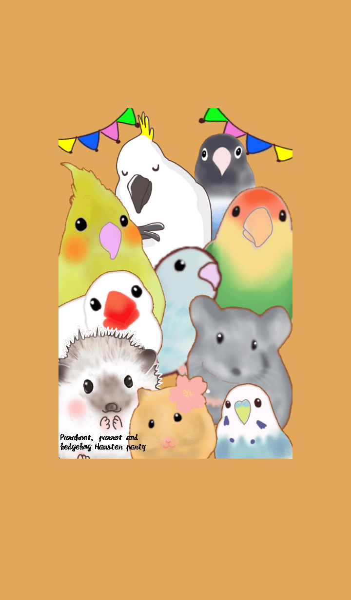Parakeet parrot hedgehog Hamster party
