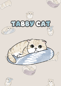 creamtabby3 - dark beige .jp