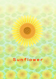 *sunflower*